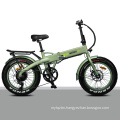 Popular Foldable Fat Tire Aluminum Alloy Frame Electric Bike